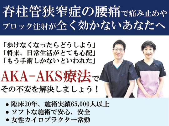 『脊椎のリハビリテーション』カイロプラクティック、リハほか ◎ 新品同様 Japan ドラッグストア 脊椎のリハビリテーションカイロ